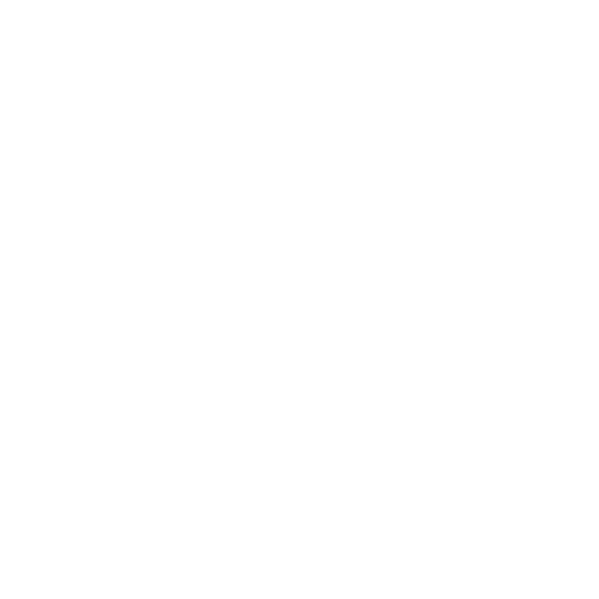 TransformativeTilingLogoWhite